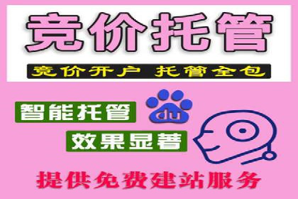 案例深度解析：SEM搜索引擎优化关键步骤